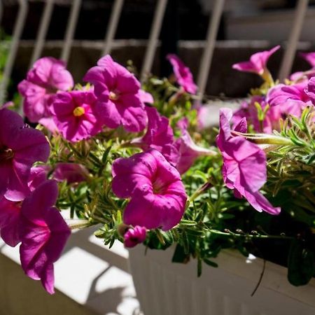 Rooms Batina دوبروفينك المظهر الخارجي الصورة