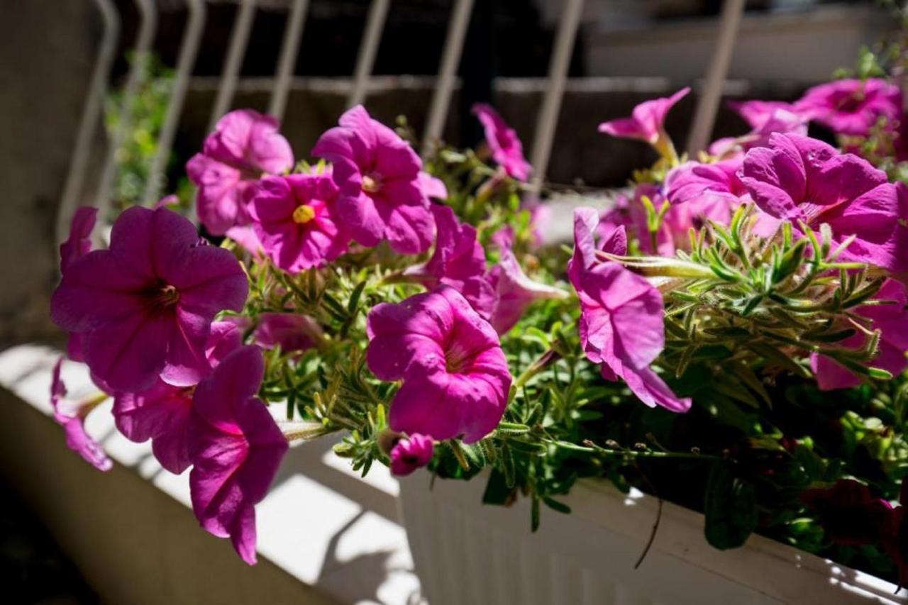 Rooms Batina دوبروفينك المظهر الخارجي الصورة